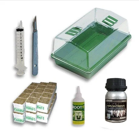 culture-hydroponique2641821