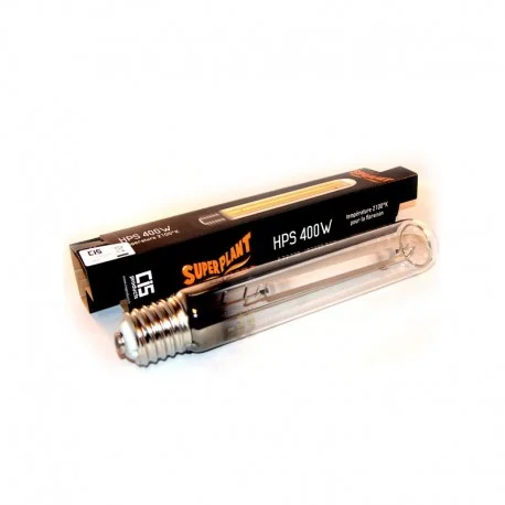 culture-hydroponique2643300