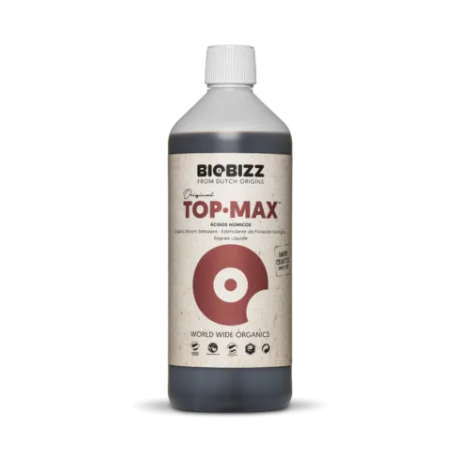 culture-hydroponique2643883