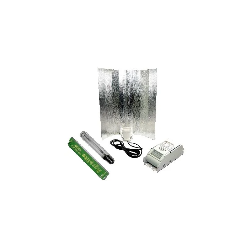 culture-hydroponique2645364