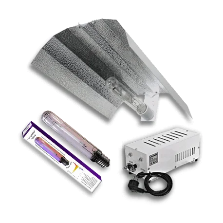 culture-hydroponique2645478