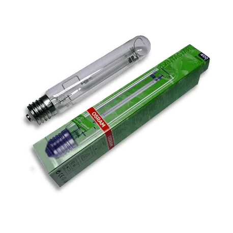 culture-hydroponique2646305