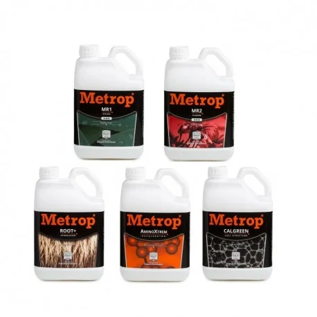 culture-hydroponique2646371