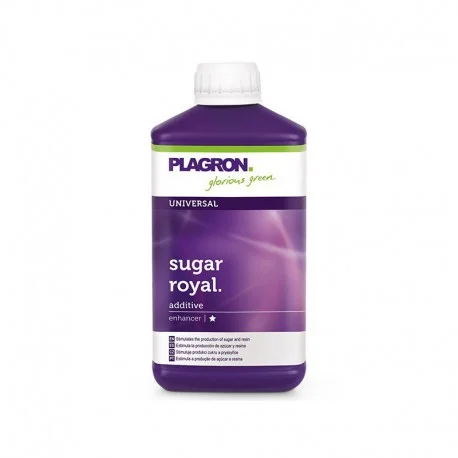 culture-hydroponique2646683