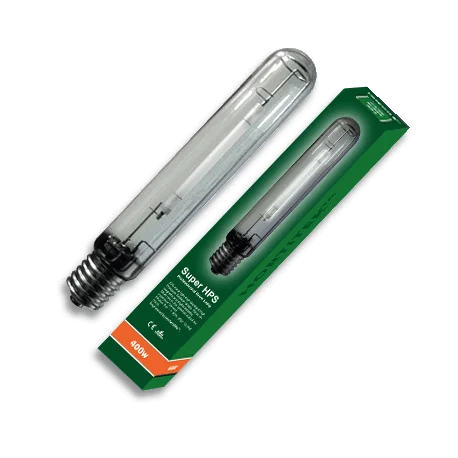 culture-hydroponique2648959