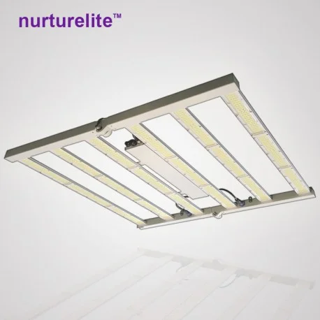 culture-hydroponique2649162