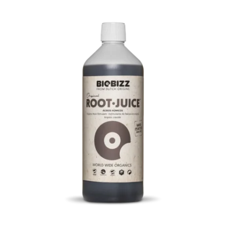 culture-hydroponique2649210