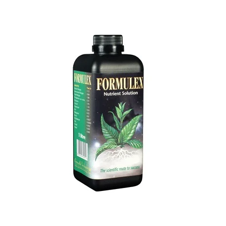 culture-hydroponique2649836