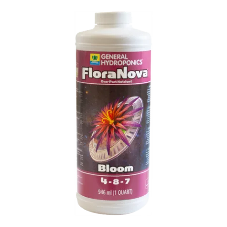 culture-hydroponique2650195