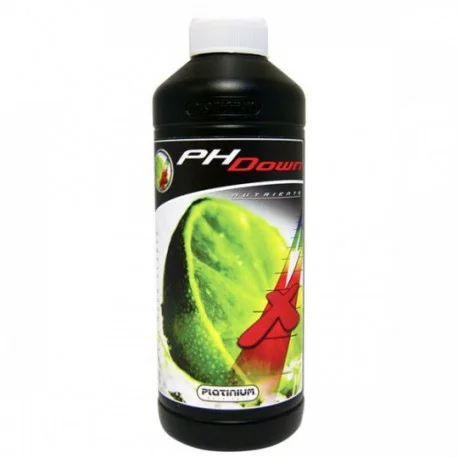 culture-hydroponique2652951