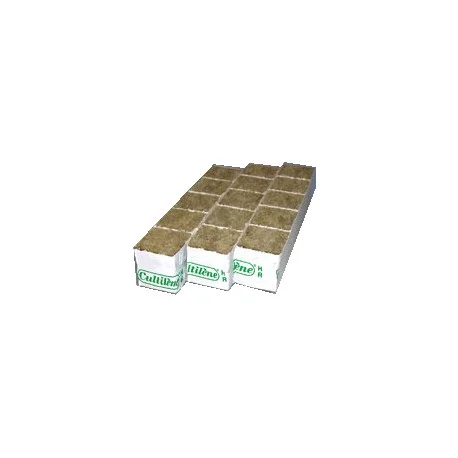 culture-hydroponique2653060