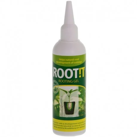culture-hydroponique2653241