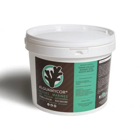 hydrozone2670806