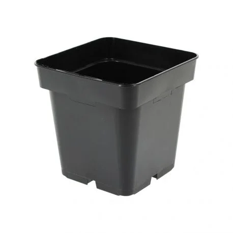 hydrozone2710546
