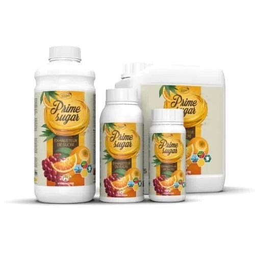 jardins-alternatifs-grenoble2759255