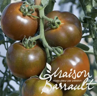 jardins-alternatifs-grenoble2766991