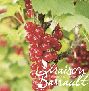 jardins-alternatifs-grenoble2767240