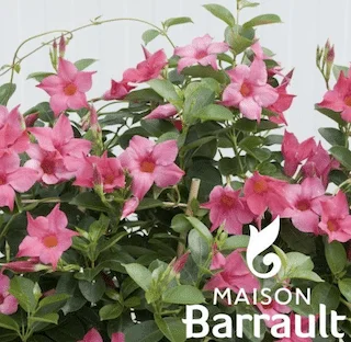 jardins-alternatifs-grenoble2767512