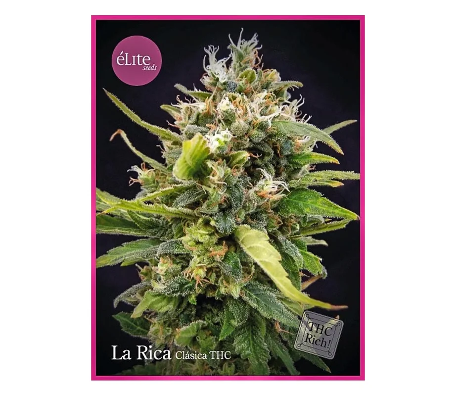 lahuertagrowshop2686378