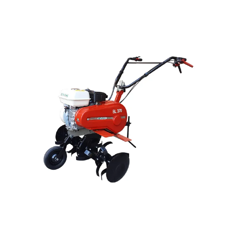 newgardenstore-12770070