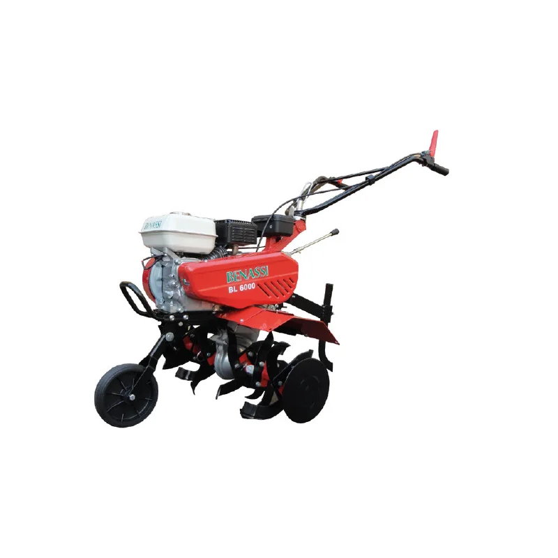 newgardenstore-12770169