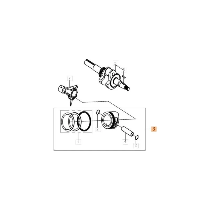 newgardenstore-13079759