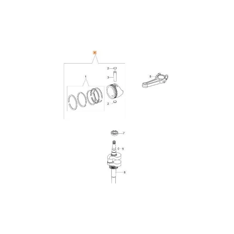 newgardenstore-13086577
