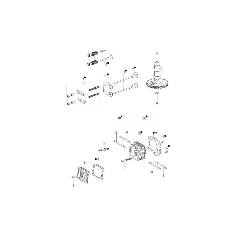 newgardenstore-13099642