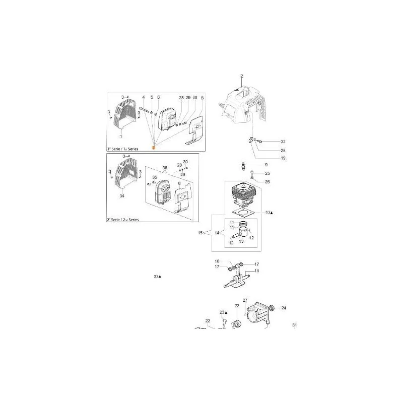 newgardenstore-13100653