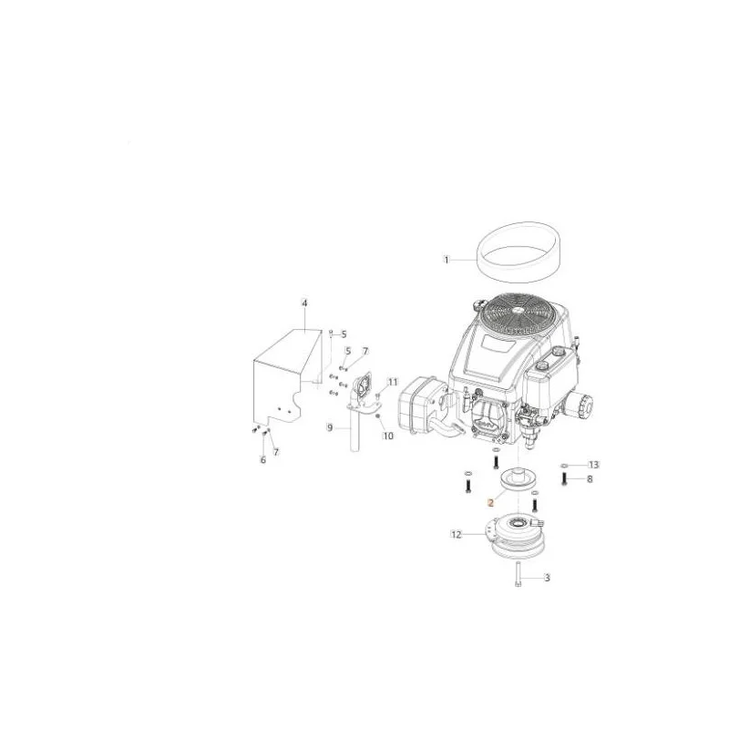 newgardenstore-13103827