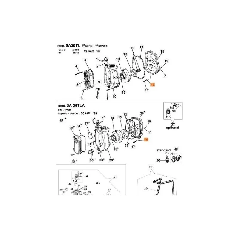 newgardenstore-13124151