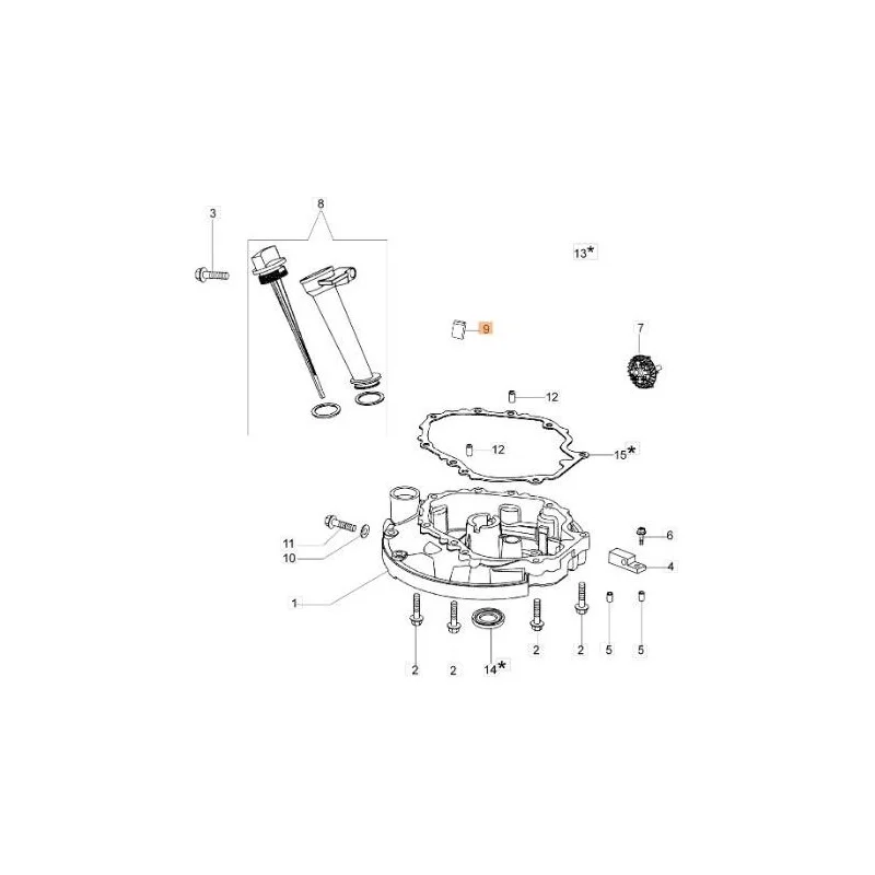 newgardenstore-13135175