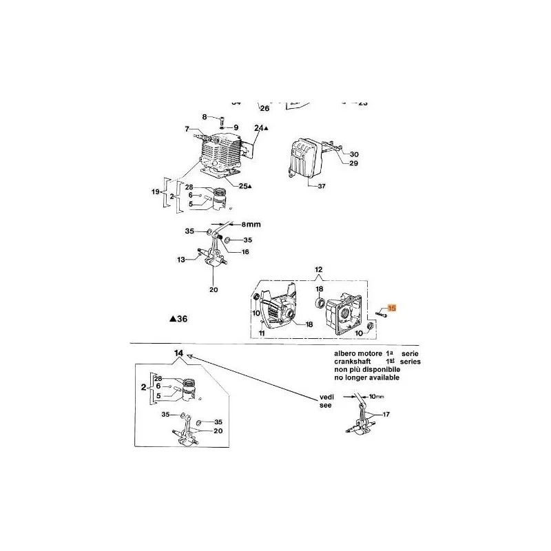 newgardenstore-13143731