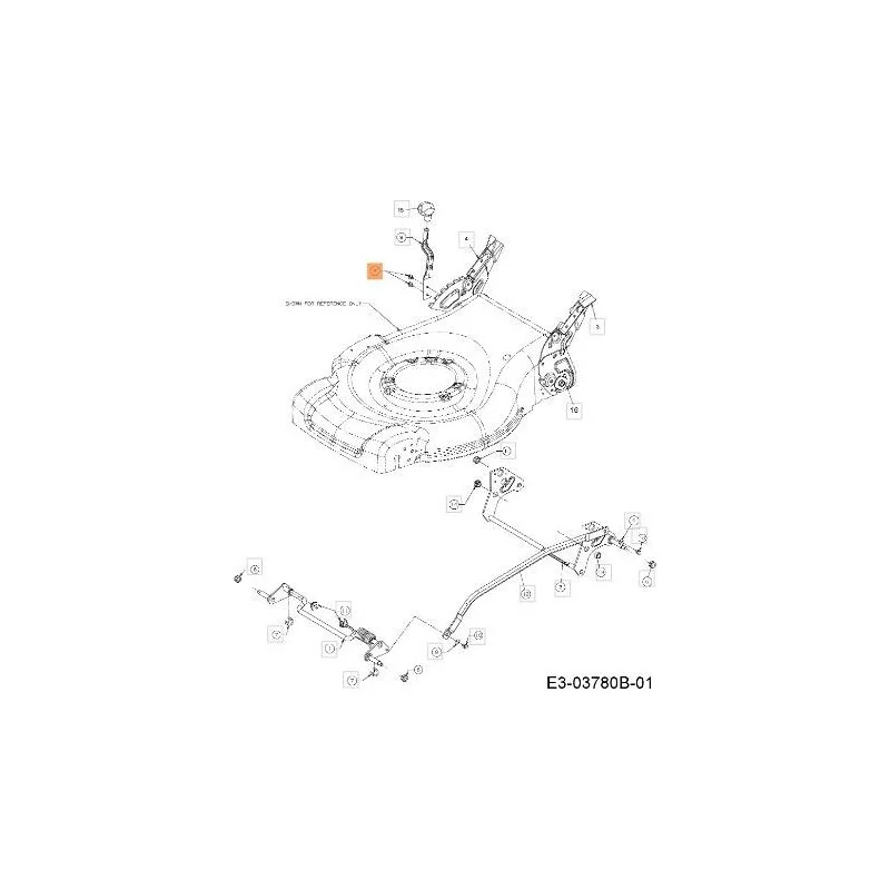 newgardenstore-13145247