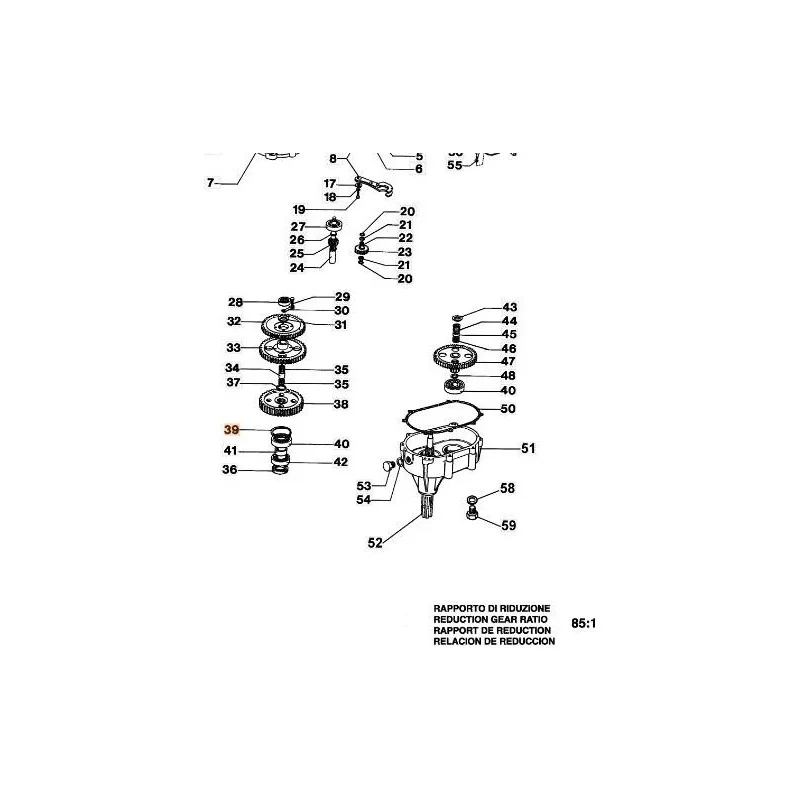 newgardenstore-13162368