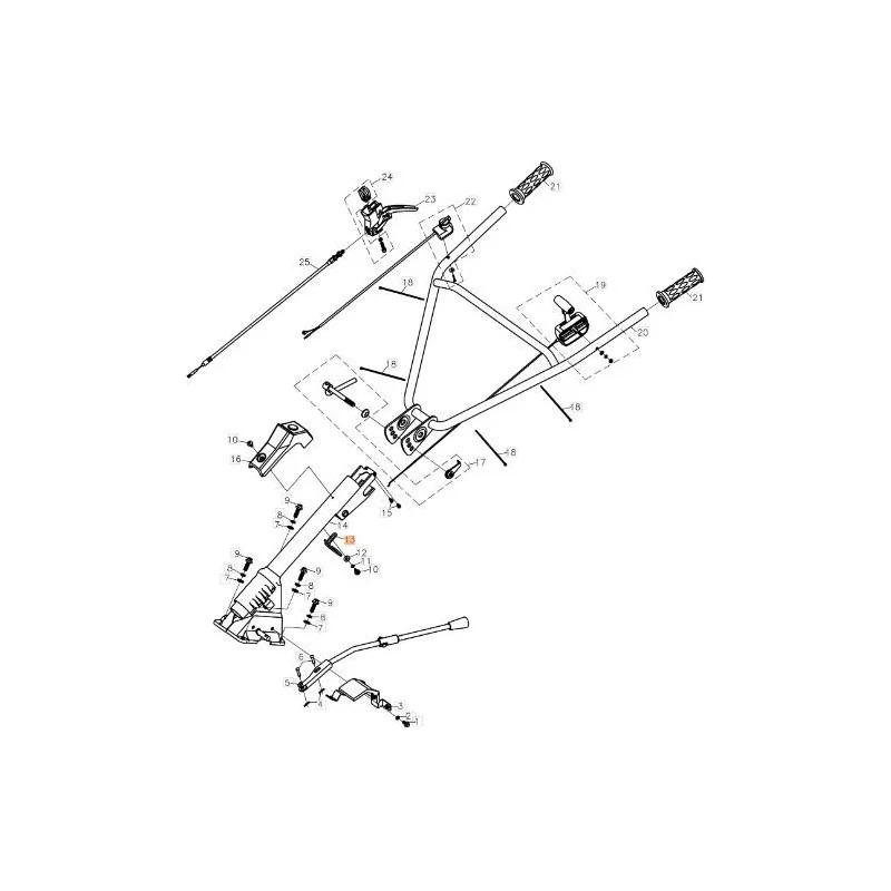 newgardenstore-13166394
