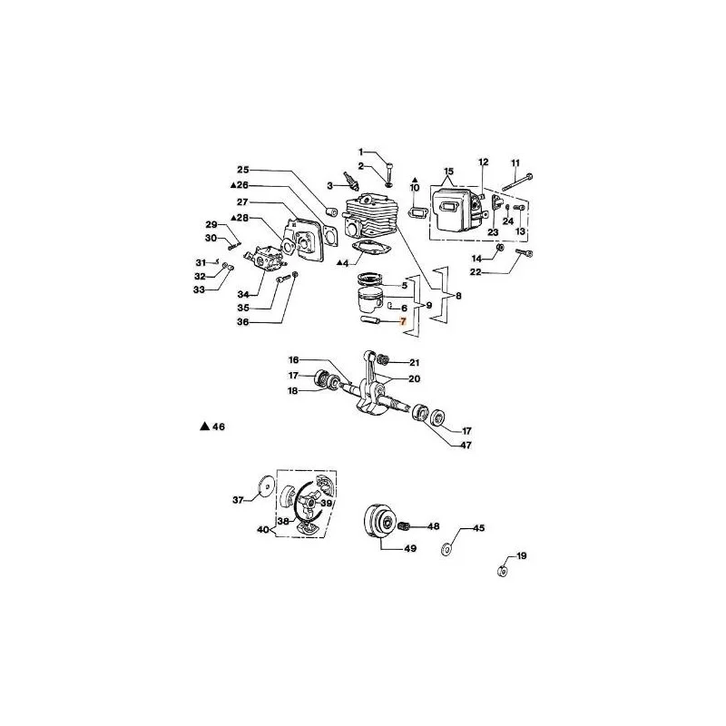 newgardenstore-13170012