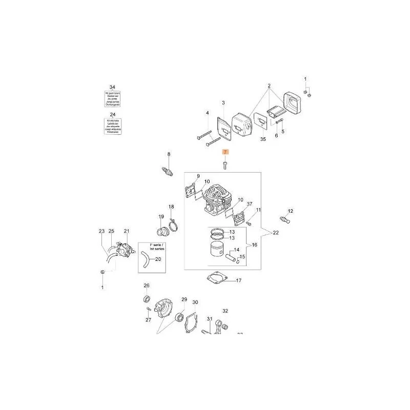 newgardenstore-13183931