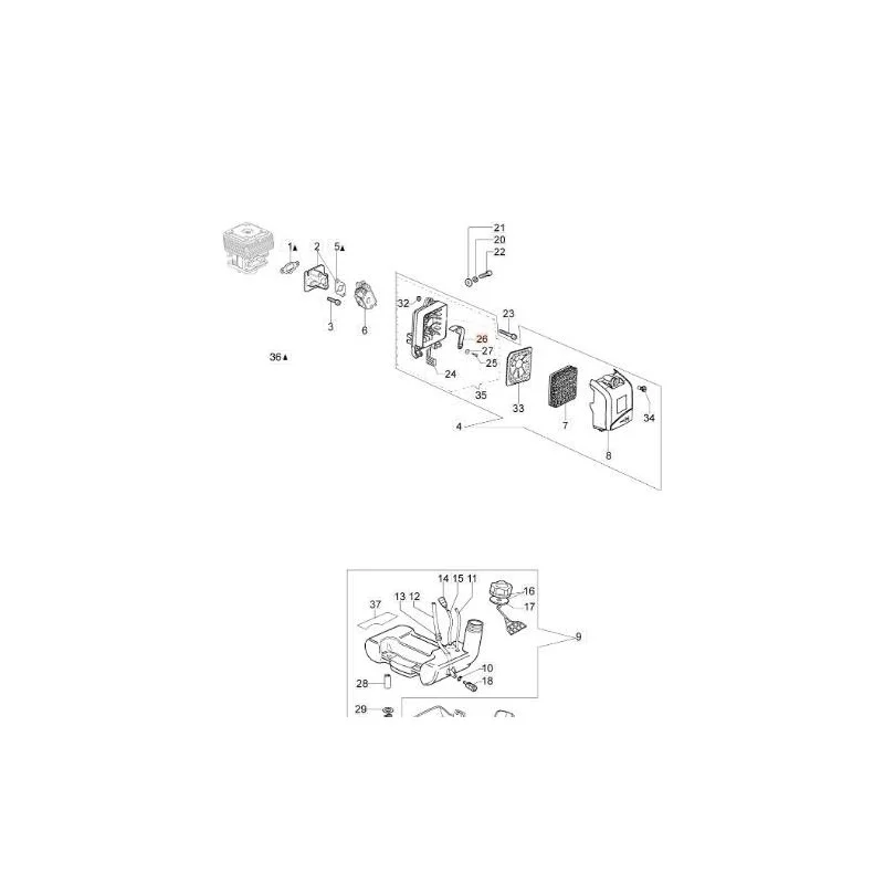 newgardenstore-13191278