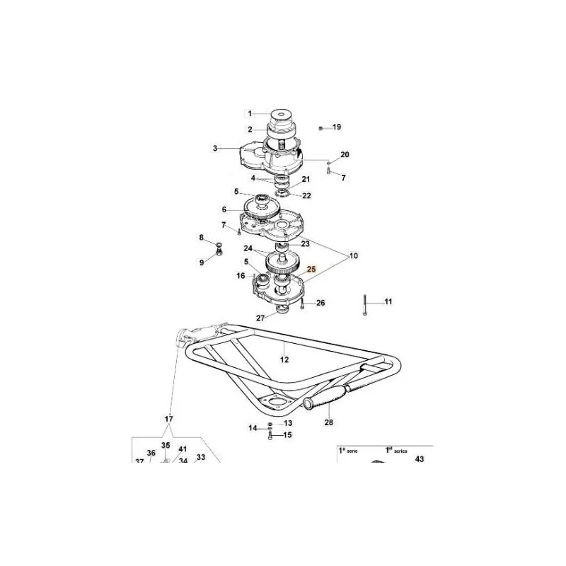 newgardenstore-13215015
