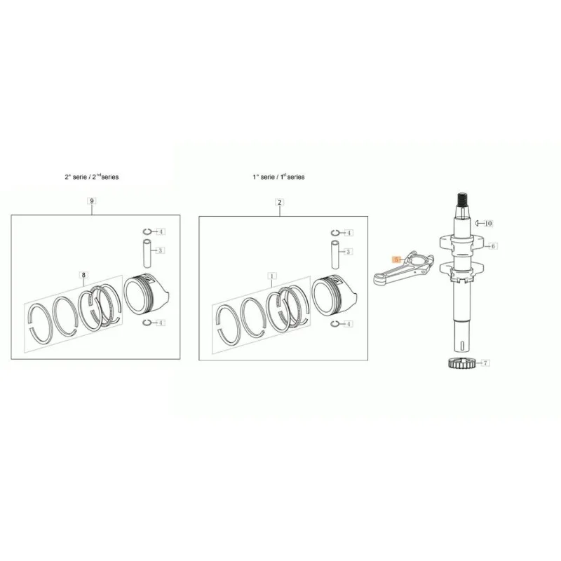 newgardenstore-13215288