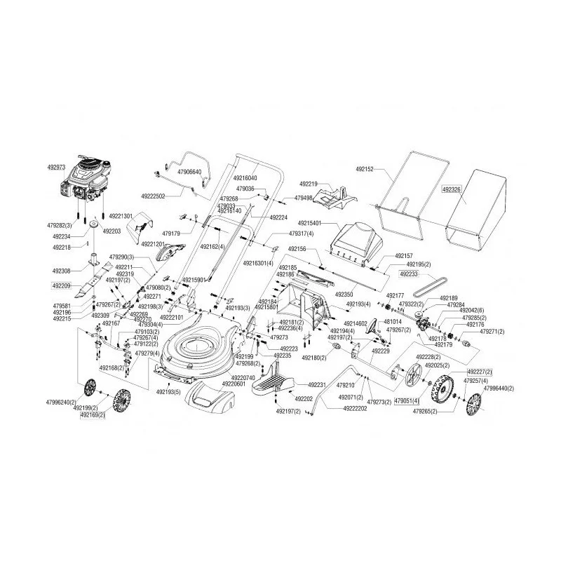 newgardenstore-13630148