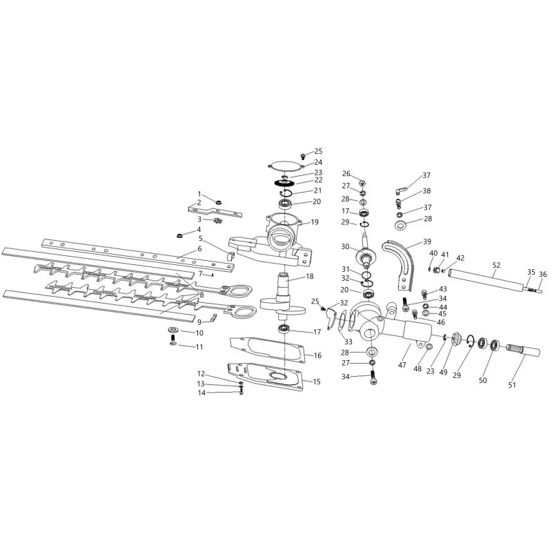 newgardenstore-13716374