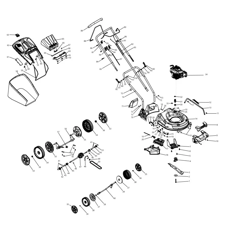 newgardenstore-13751677