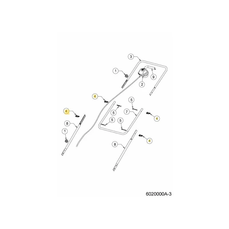 newgardenstore-22799842