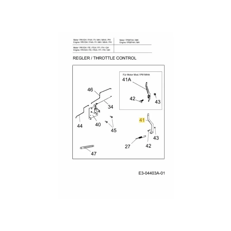 newgardenstore-22804669