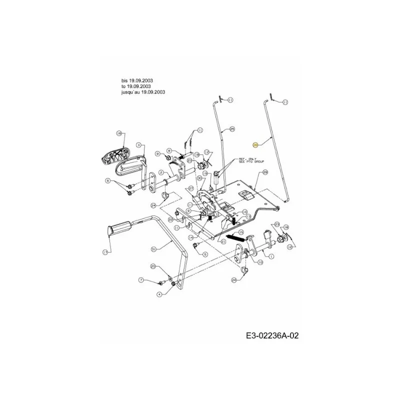 newgardenstore-22804913