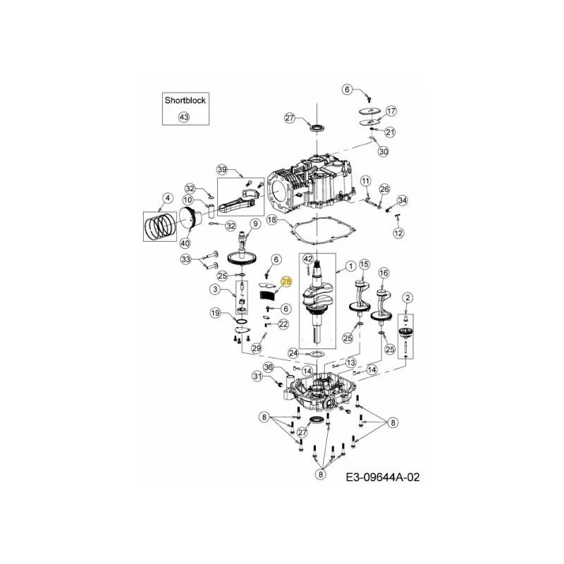 newgardenstore-22808834