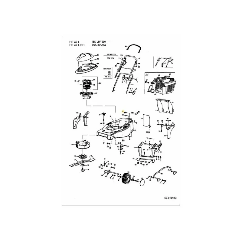 newgardenstore-22809699