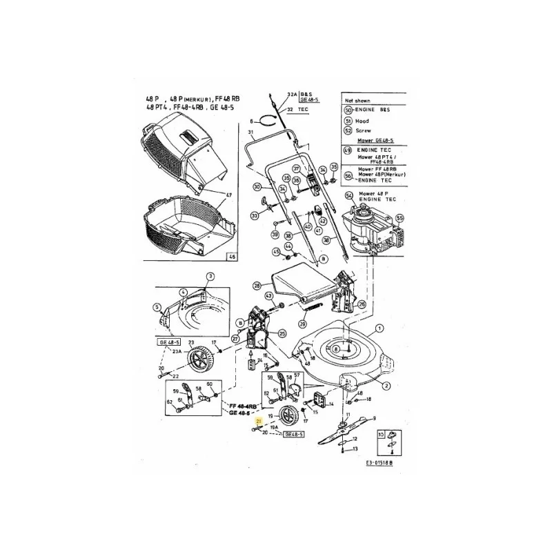 newgardenstore-22809979